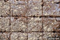 Fudgy Vegan Sweet Potato Brownies