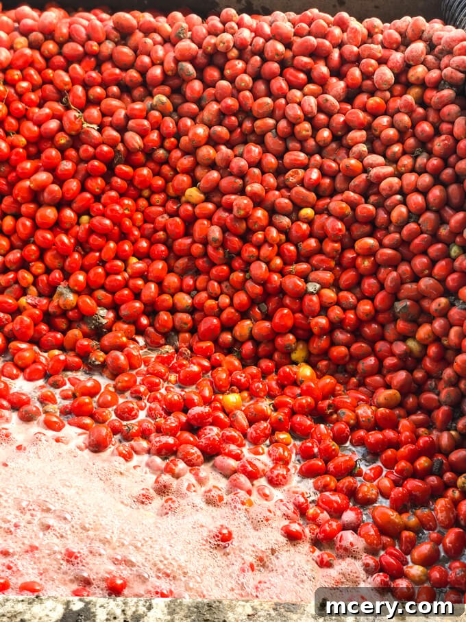4 Crucial Revelations About Canned Foods 5 A close-up view of the intricate canning production line, showcasing automated sealing and sterilization