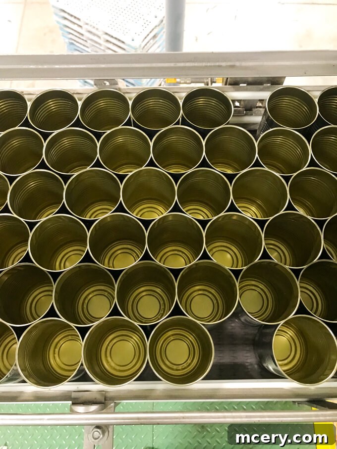 4 Crucial Revelations About Canned Foods 7 A well-organized pantry featuring a variety of colorful canned goods, symbolizing convenience and accessibility