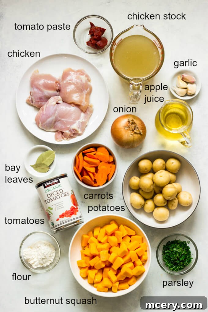 Hearty Butternut Chicken Stew 3 A collection of fresh ingredients laid out on a wooden surface, including chicken, butternut squash, carrots, onions, garlic, baby potatoes, canned tomatoes, and spices, ready for making chicken stew.