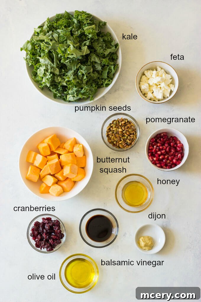 Sweet-Tart Kale and Cranberry Salad 3 A flat lay photograph showcasing all the fresh, colorful ingredients required for a delicious kale salad: chopped butternut squash, fresh kale leaves, bright red pomegranate seeds, dried cranberries, pumpkin seeds, and crumbled feta cheese, alongside a bowl of balsamic dressing components.