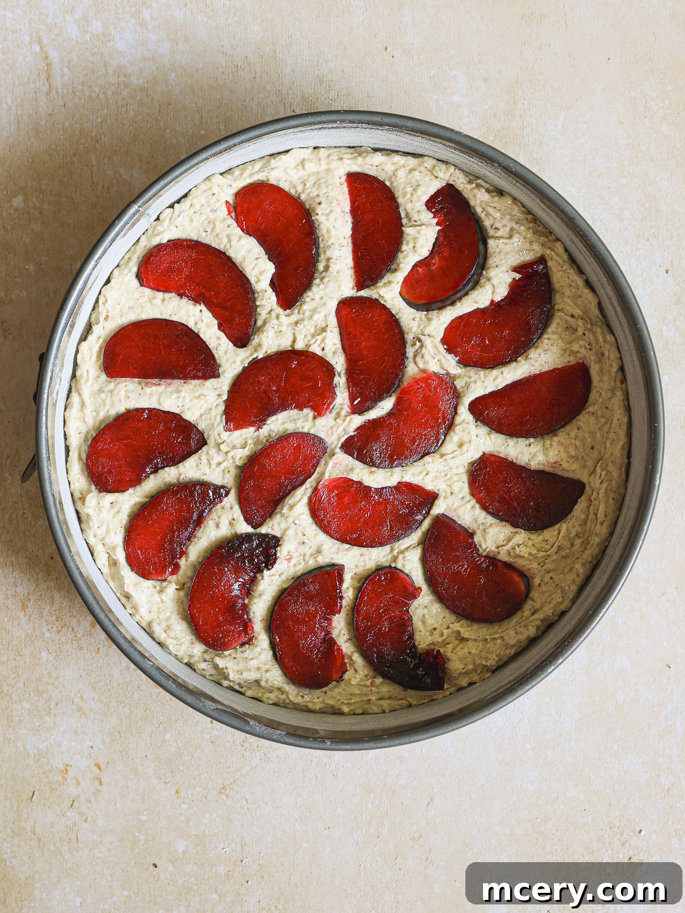 Classic Plum Torte 10 Sliced plums arranged in a circular pattern over the torte batter.