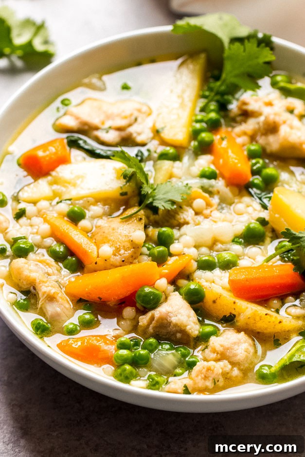 Tender Spring Chicken and Garden Harvest Stew 6 Close-up side view of a serving of chicken stew with potatoes and vegetables in a white bowl, showing the rich broth and diverse ingredients.