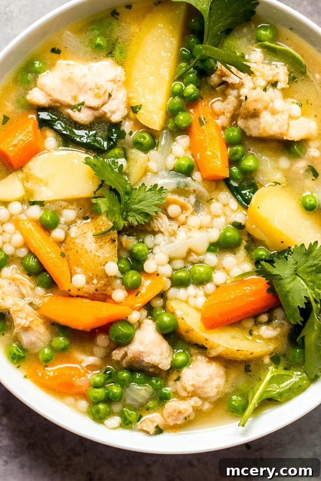 Tender Spring Chicken and Garden Harvest Stew 7 Overhead close-up shot of a white bowl filled with spring chicken and vegetable stew, garnished with fresh parsley, highlighting the pearl couscous and tender ingredients.