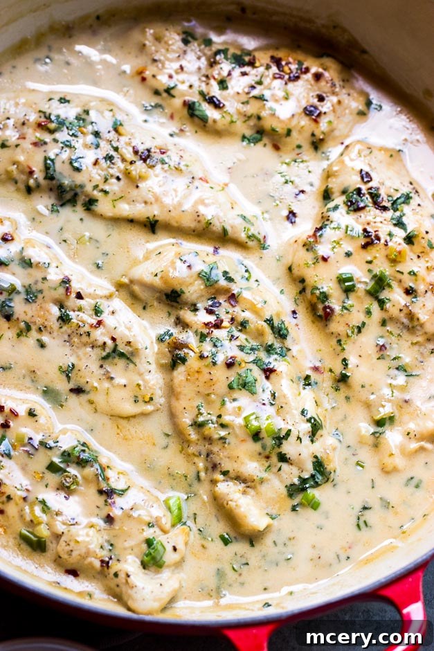 Creamy Coconut Chicken Skillet 2 Close up side view of creamy coconut milk chicken with fresh lime and cilantro garnish.
