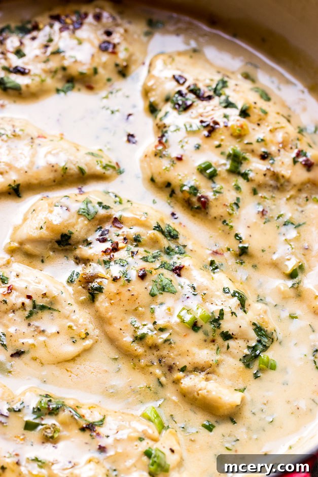 Creamy Coconut Chicken Skillet 12 Close up view of coconut chicken in a luscious white cream sauce, garnished with fresh herbs, ready to be served.