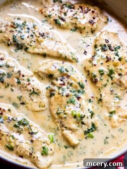 Close up side view of creamy coconut milk chicken with fresh lime and cilantro garnish.