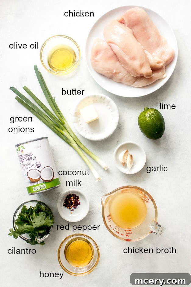 Creamy Coconut Chicken Skillet 3 Collection of fresh ingredients for coconut lime chicken, including chicken breast, lime, cilantro, garlic, green onions, and canned coconut milk.