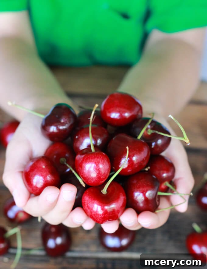 Ruby Cherry Vareniki 2 A bowl filled with vibrant, fresh cherries, some whole and some halved, ready for pitting.