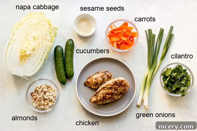 Toasted Sesame Asian Salad 3 A selection of fresh ingredients for Asian sesame chicken salad including napa cabbage, carrots, cucumbers, cilantro, green onions, and cooked chicken.