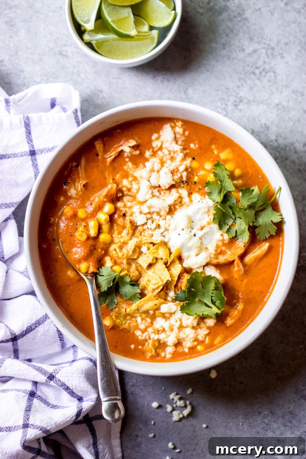 Velvety Chicken Tortilla Soup 8 A beautifully presented bowl of creamy chicken tortilla soup without beans, garnished generously with fresh toppings like cilantro, sour cream, and crispy tortilla strips, ready to be enjoyed.