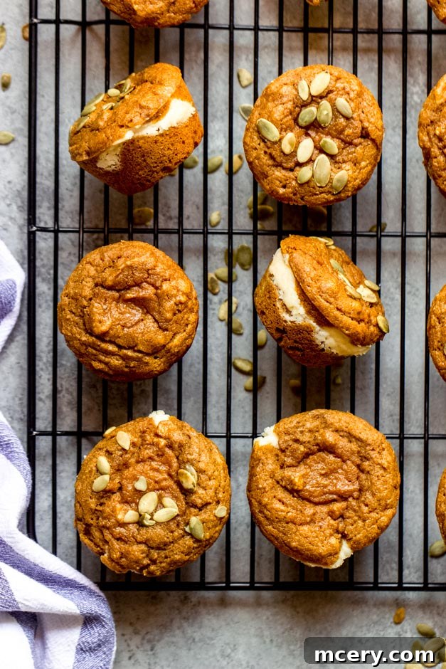 Spiced Pumpkin Cream Cheese Swirl Muffins 2 Overhead shot of healthy pumpkin cream cheese muffins arranged on a cooling rack