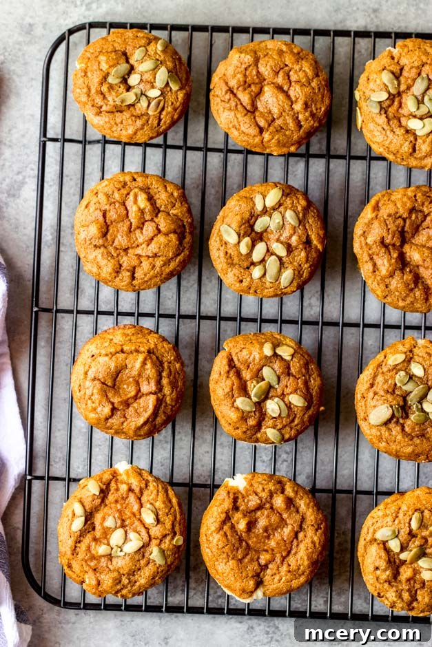 Spiced Pumpkin Cream Cheese Swirl Muffins 8 Healthy pumpkin cream cheese muffins cooling on a wire rack