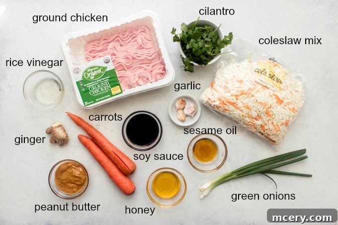 Spicy Thai Chicken Cabbage Stir Fry 3 ingredients for chicken and cabbage with carrots