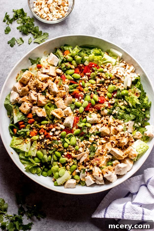 Thai Peanut Chicken Salad 2 Overhead view of a vibrant homemade Panera-style Thai Chicken Salad, featuring crisp greens, edamame, cilantro, cashews, and a rich chili vinaigrette.