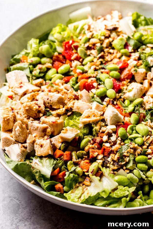 Thai Peanut Chicken Salad 3 Close-up side view of a delectable Panera-style Spicy Thai Chicken Salad, showcasing its rich textures and vibrant dressing.