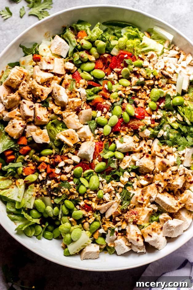 Thai Peanut Chicken Salad 9 An overhead close-up shot of the spicy Thai salad with chicken, beautifully arranged in a bowl, highlighting its fresh ingredients and inviting colors.