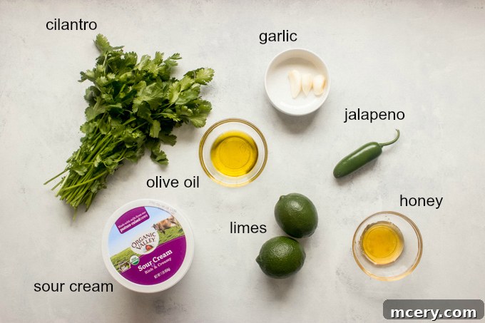 Zesty Mexican Tuna Salad with Cilantro Cream 5 Ingredients for creamy cilantro dressing including cilantro, jalapeno, garlic, lime, sour cream, honey, and olive oil.