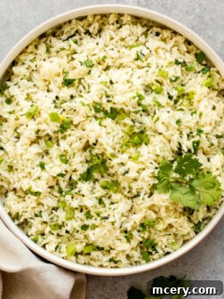 overhead of cilantro rice