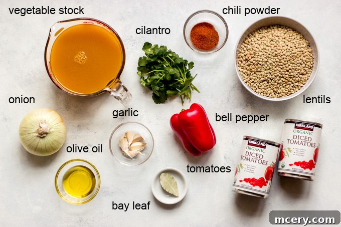 Plant-Powered Lentil Chili 4 Various raw ingredients laid out on a wooden surface: lentils, bell pepper, onion, garlic, tomatoes, and spices.