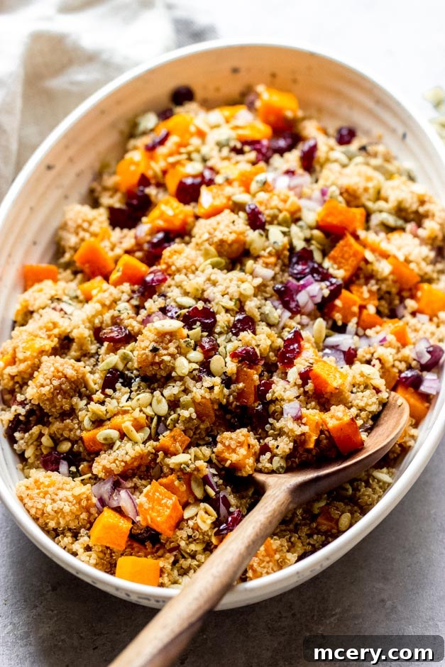 Golden Harvest Quinoa Medley 13 Side view of a serving of butternut squash and quinoa salad with cranberries and pumpkin seeds.