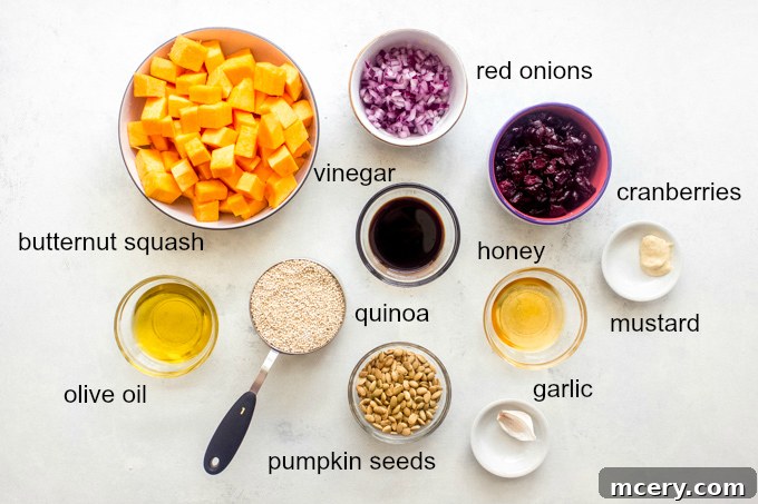 Golden Harvest Quinoa Medley 4 A vibrant flat lay of all fresh ingredients for making butternut squash cranberry salad.