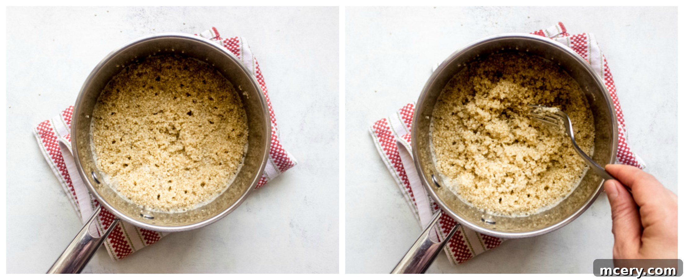 Golden Harvest Quinoa Medley 10 Cooked quinoa resting in a saucepan after absorption of water.