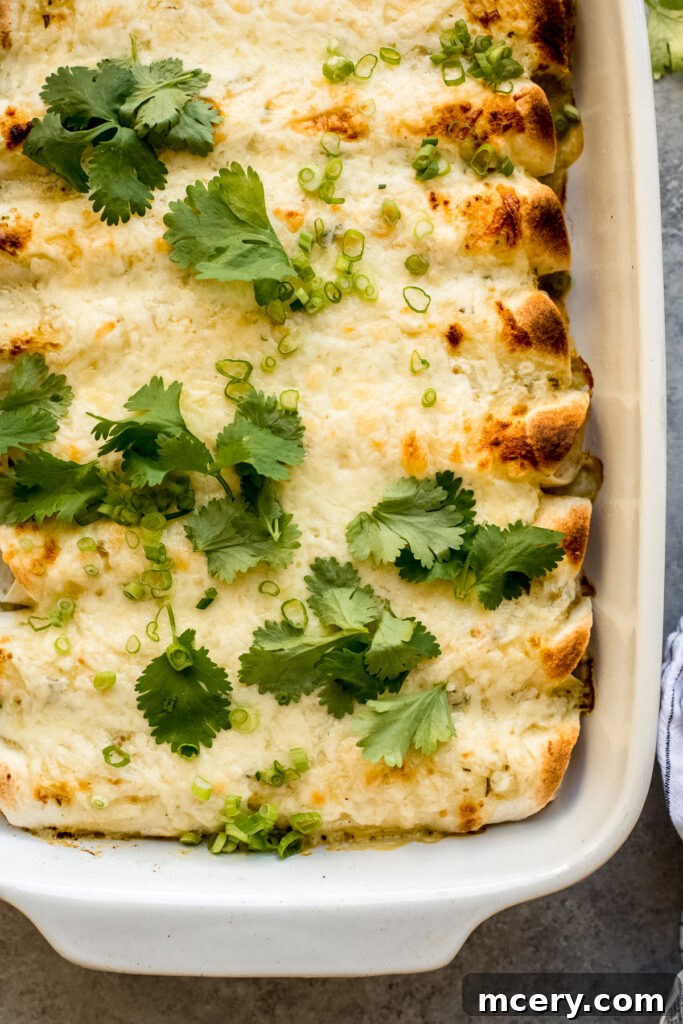 Savory Chicken Enchilada Bake 9 Close-up of baked ground chicken sour cream enchiladas, showing creamy sauce and melted cheese