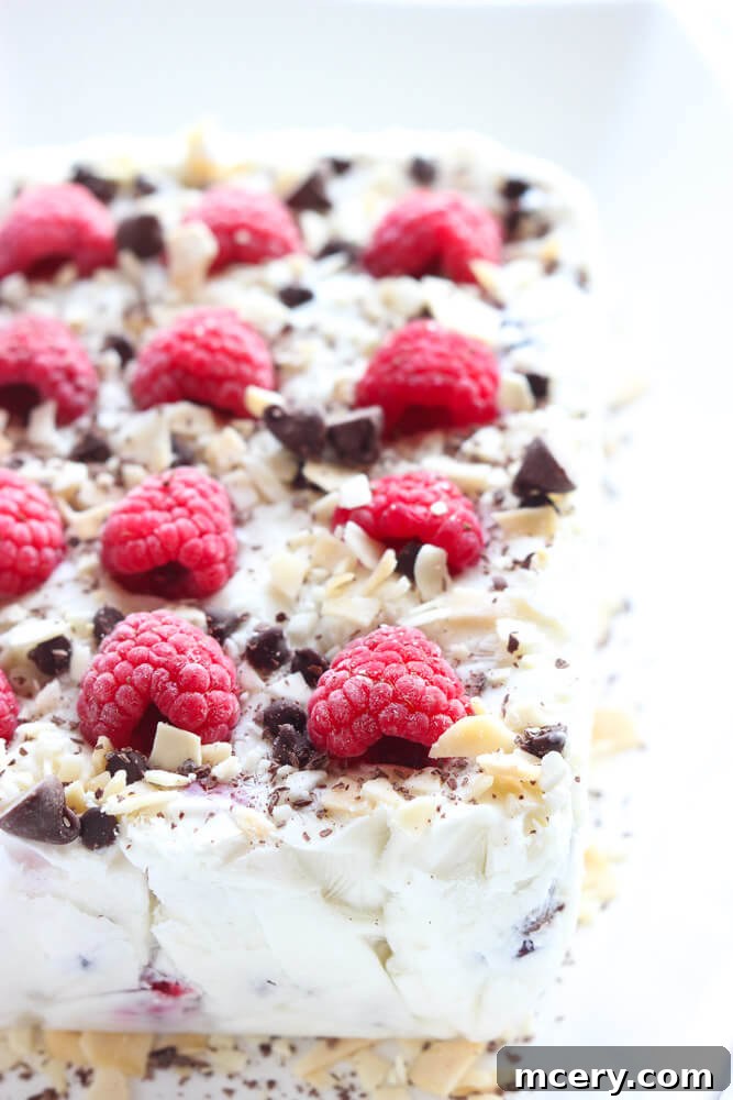 Refreshing Yogurt Delights 5 No refined sugar or artificial sweeteners. Only Greek yogurt plus other clean ingredients in these bars | littlebroken.com @littlebroken