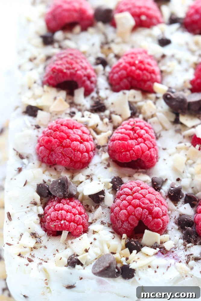 Refreshing Yogurt Delights 6 No refined sugar or artificial sweeteners. Only Greek yogurt plus other clean ingredients | littlebroken.com @littlebroken