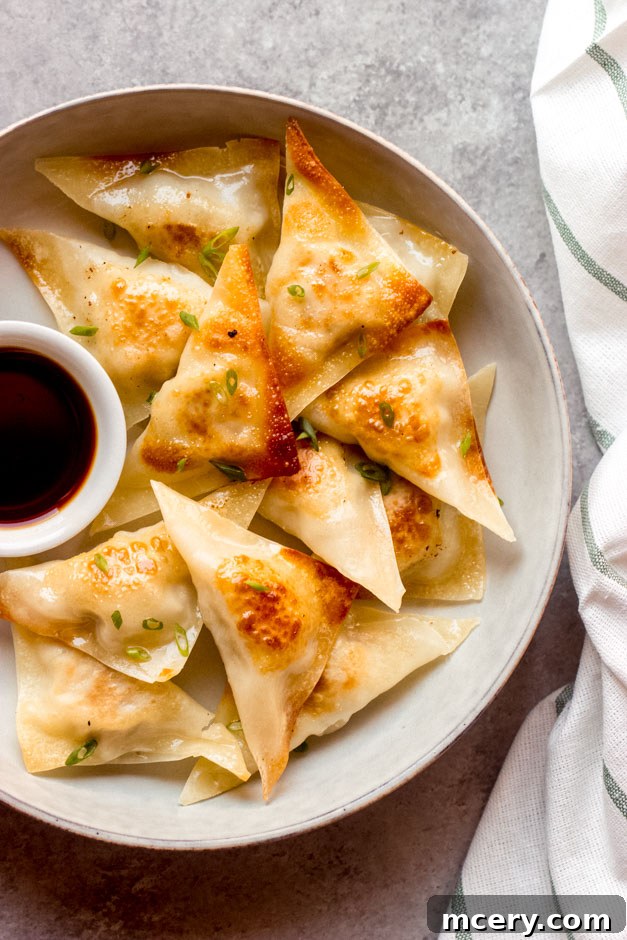 Effortless Homemade Potstickers with Just Four Ingredients 2 easy potsticker recipe