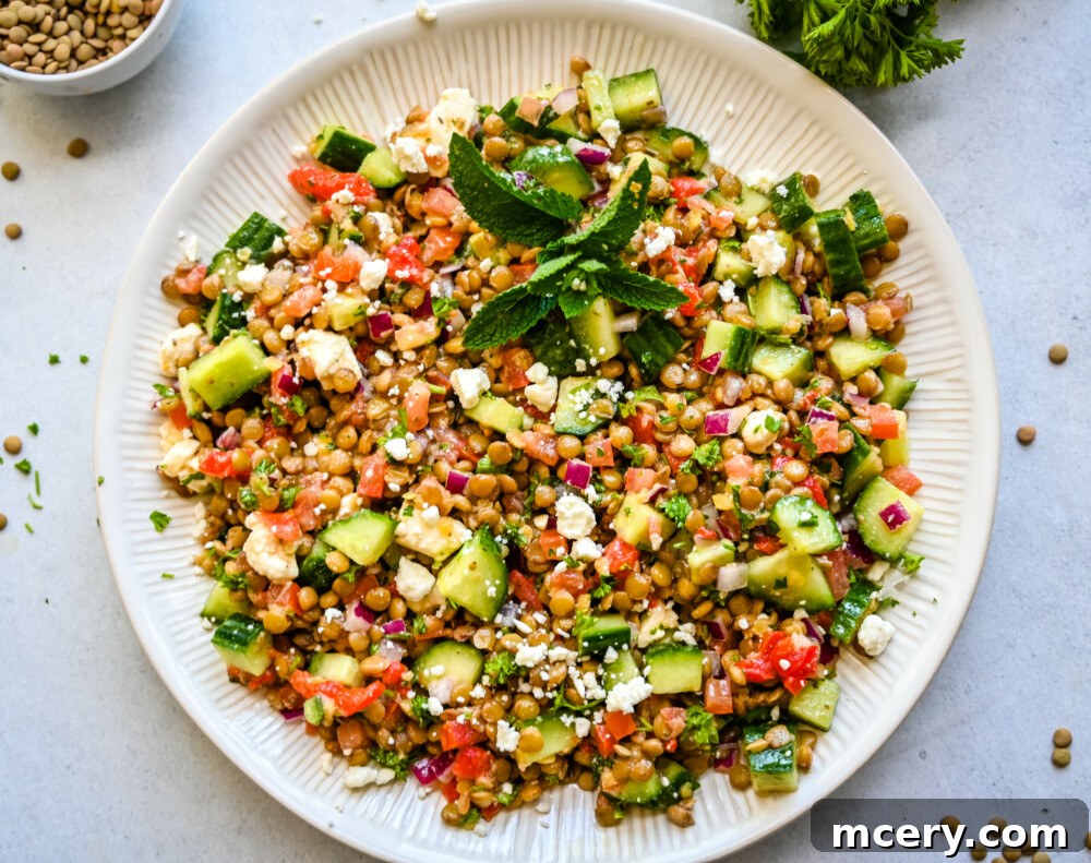 Deliciously Simple Lentil Salad 3 easy lentil salad recipe