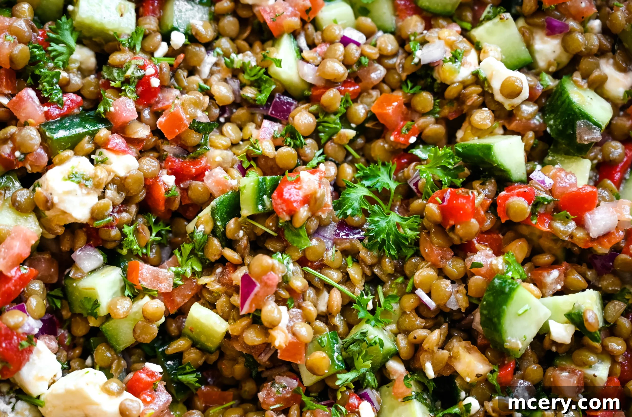 Deliciously Simple Lentil Salad 8 A large mixing bowl with all the salad components before dressing: lentils, veggies, and feta.