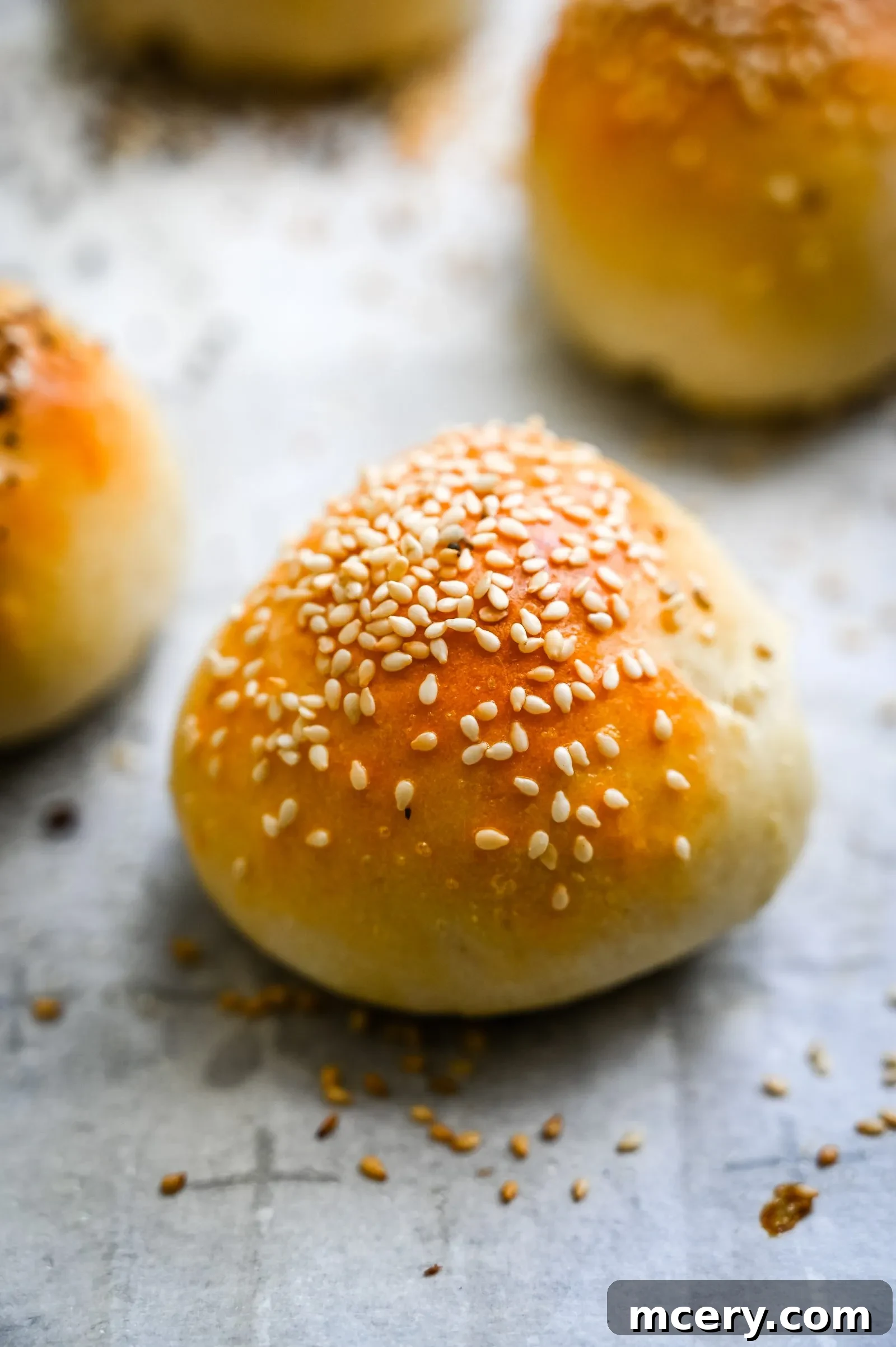 Bagel Bombs 15 A delicious stuffed bagel bite, perfectly golden brown and topped with a mix of seeds.