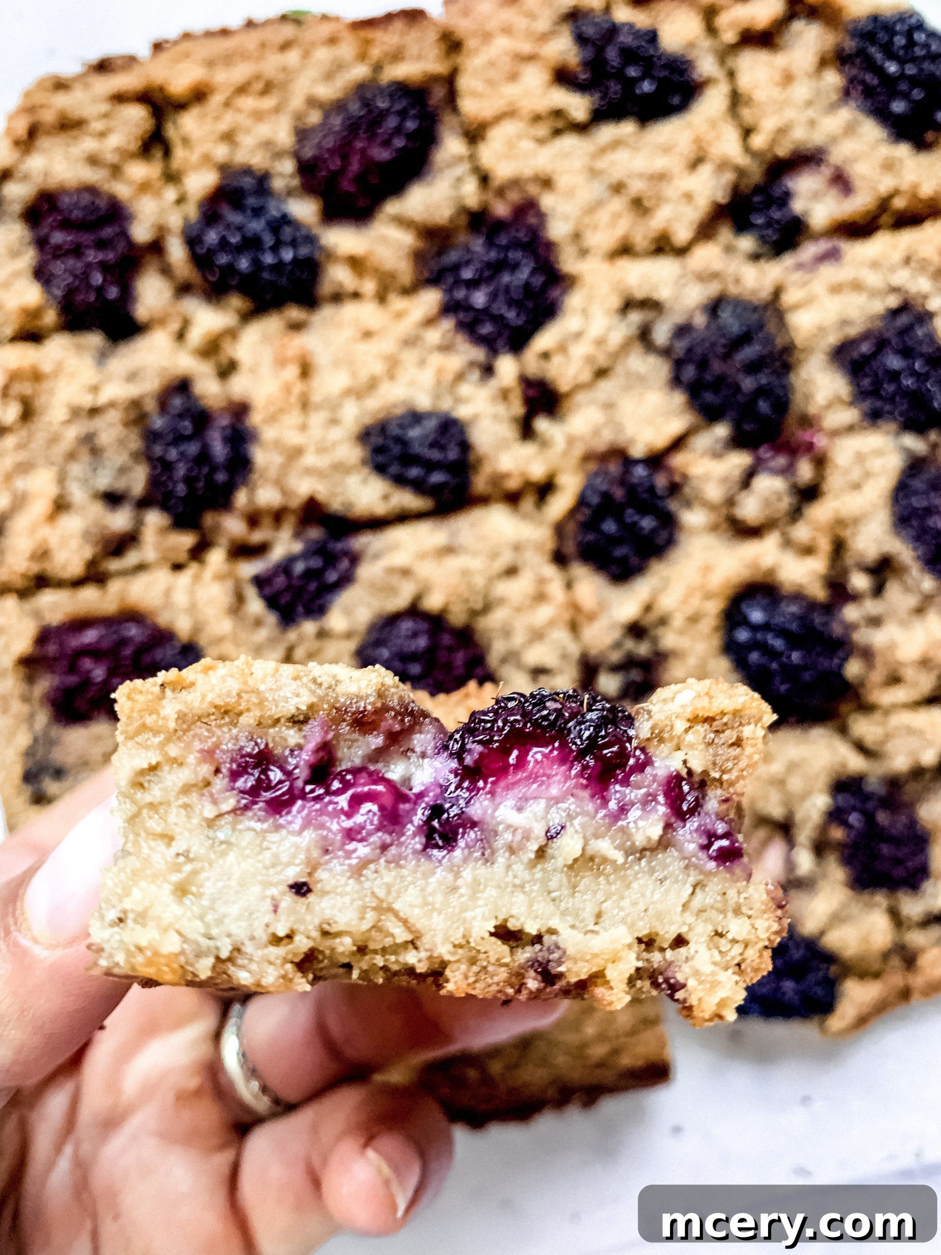 Blackberry Banana Bliss Bars 3 Tray of freshly baked Blackberry Banana Bread Bars, cooling on a wire rack