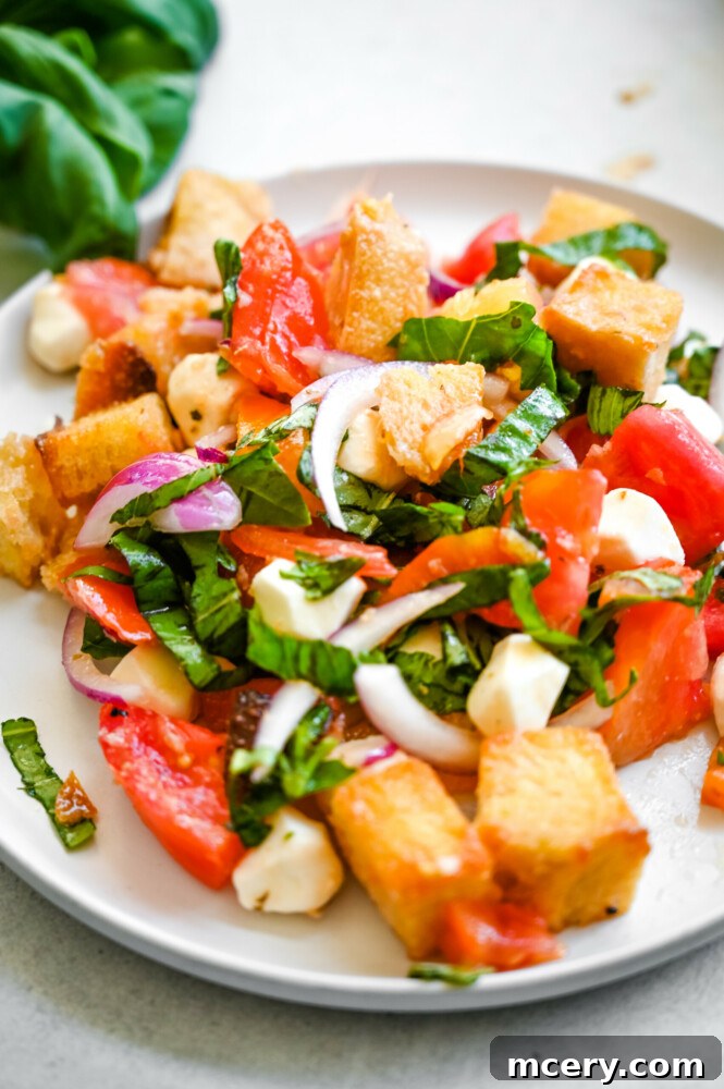 Rustic Tuscan Panzanella 3 Panzanella Recipe