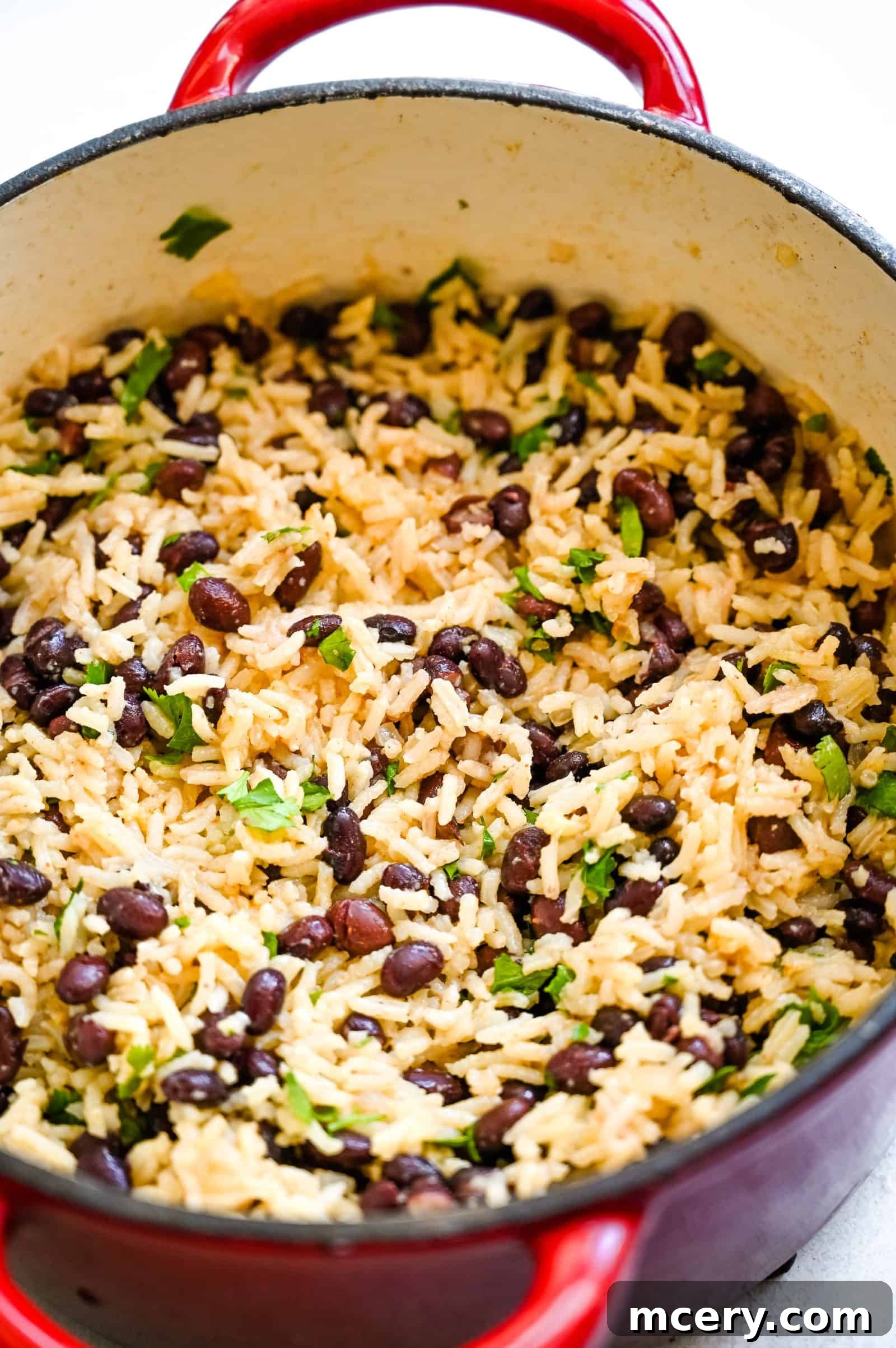 Perfect One-Pot Black Beans and Rice Side 7 A large red pot brimming with the finished Black Beans and Rice, lightly seasoned and beautifully garnished with fresh, chopped green cilantro, showcasing a vibrant and appetizing presentation.