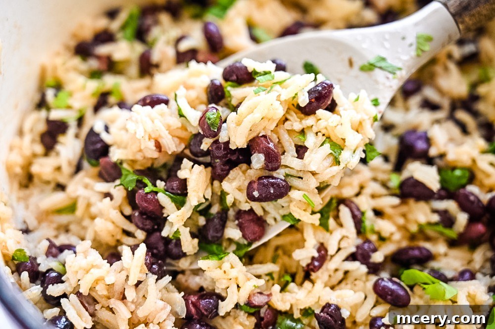 Perfect One-Pot Black Beans and Rice Side 8 A close-up of a spoonful of fluffy white rice and tender black beans, mixed together and garnished with fresh cilantro, scooped from a large pot to highlight its delicious texture and vibrant colors.