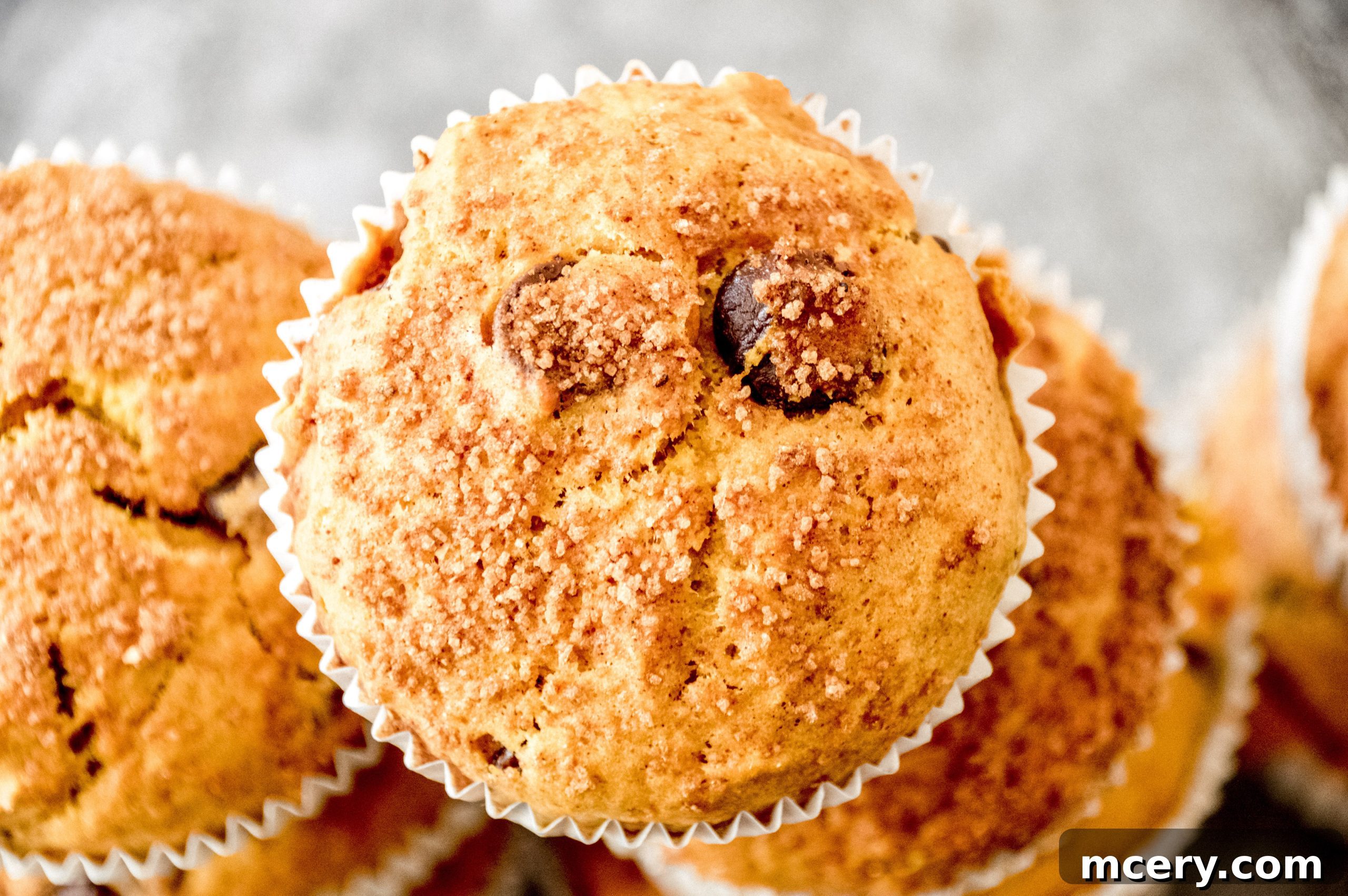 Freshly baked pumpkin chocolate chip muffins cooling on a wire rack.