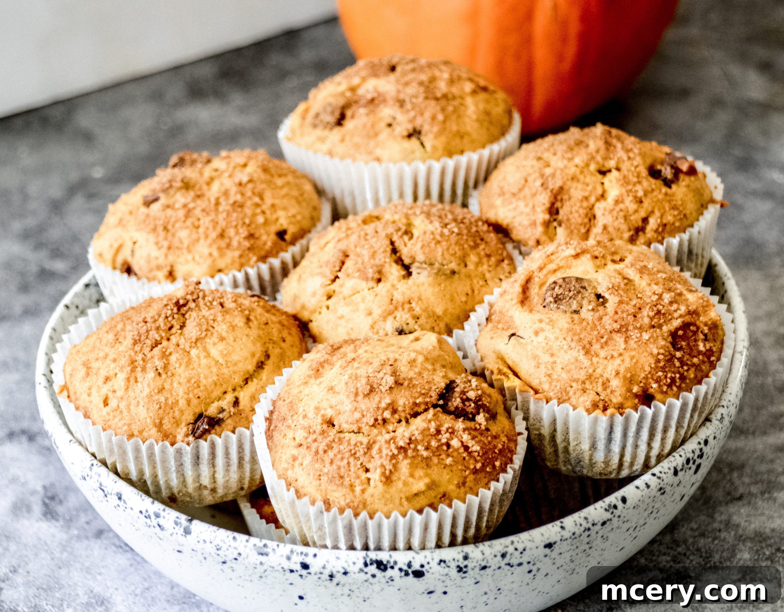 A freshly baked pumpkin chocolate chip muffin with a bite taken out, revealing its moist interior.