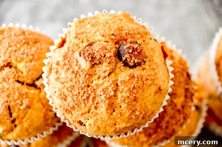 Close-up of freshly baked Pumpkin Chocolate Chip Muffins with a golden-brown top, sprinkled with crumbly sugar and chocolate chips. The muffin is nestled in a white paper liner, surrounded by partial views of other muffins, all on a textured gray surface.