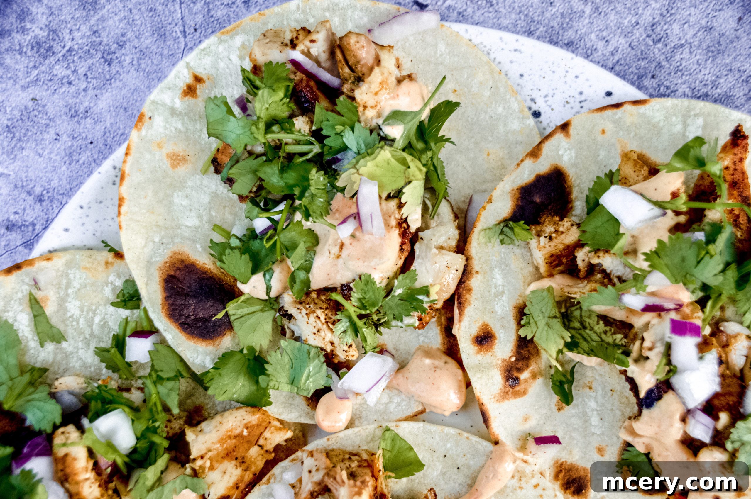 Zesty Street Chicken Tacos 8 Perfectly diced grilled chicken, ready to be added to warm tortillas for street tacos.