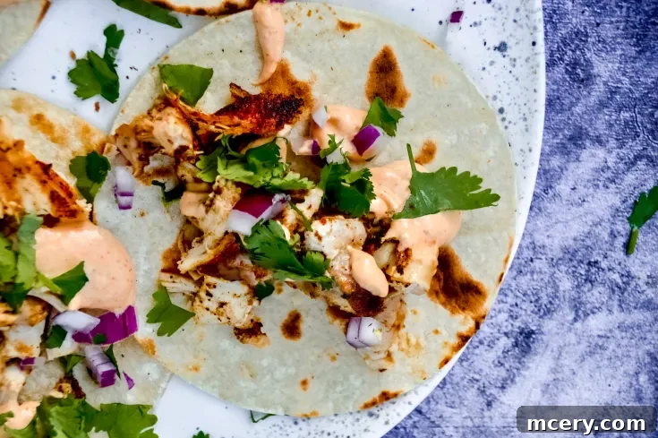 Zesty Street Chicken Tacos 9 Grilled Chicken Street Tacos topped with diced onions, cilantro, and a creamy sauce are arranged on a white plate.