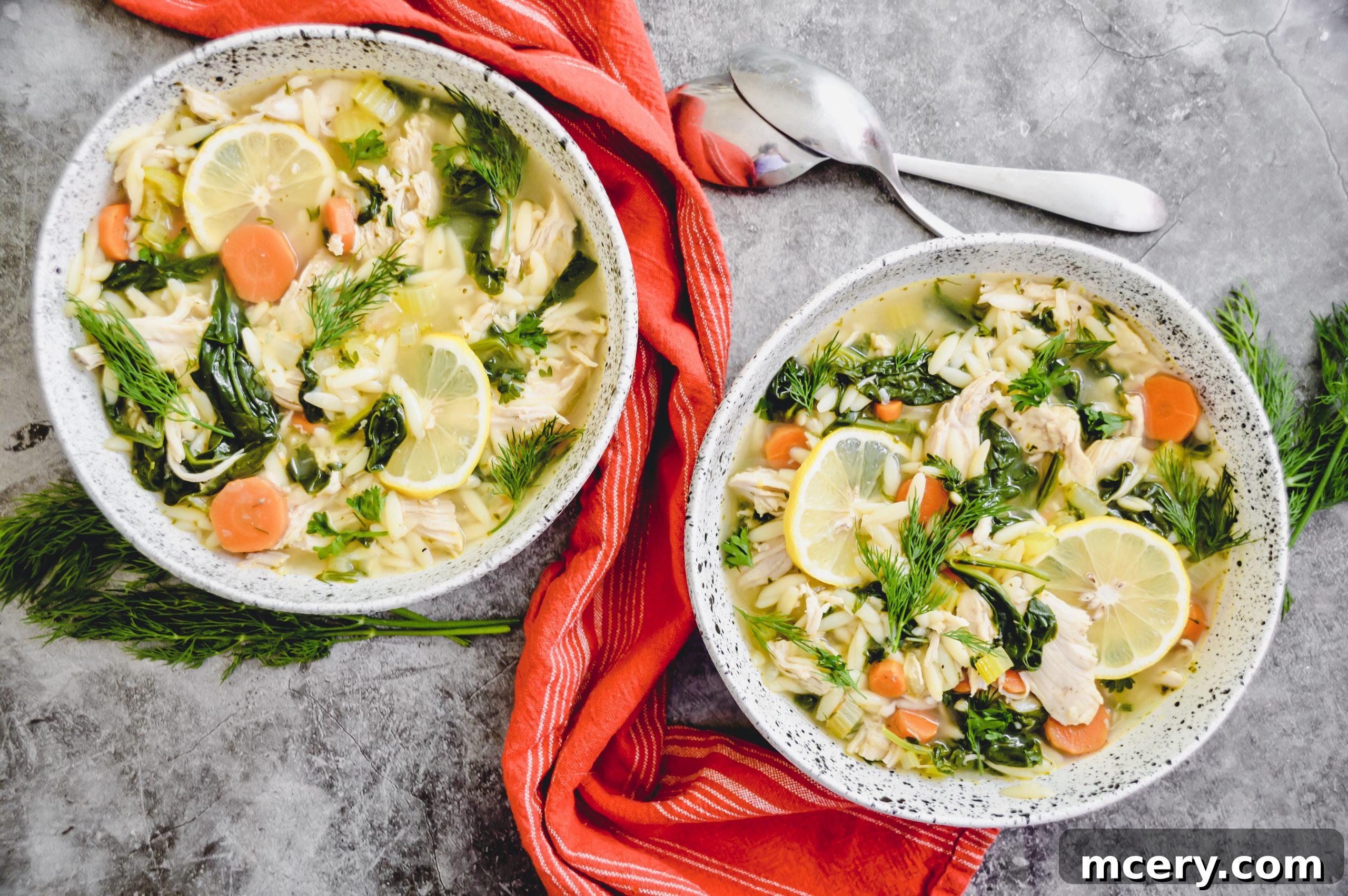 Zesty Instant Pot Lemon Chicken Orzo Soup 2 A vibrant bowl of Instant Pot Lemon Chicken Orzo Soup garnished with fresh herbs and lemon slices, ready to be enjoyed.