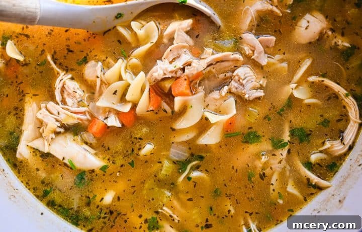 Soul Soothing Chicken Noodle Soup 11 Close-up of a spoonful of homemade chicken noodle soup, highlighting the perfectly cooked egg noodles, shredded chicken, and tender vegetables.