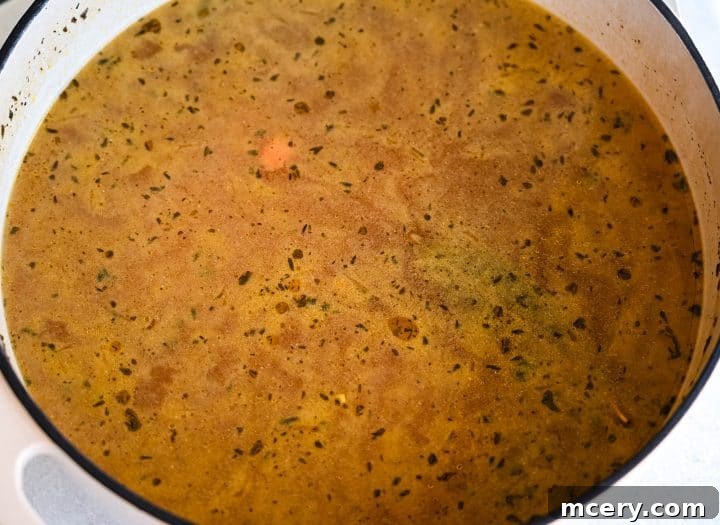Soul Soothing Chicken Noodle Soup 7 Chicken, vegetables, and herbs submerged in chicken broth in a large pot, with the broth being stirred to combine all ingredients.