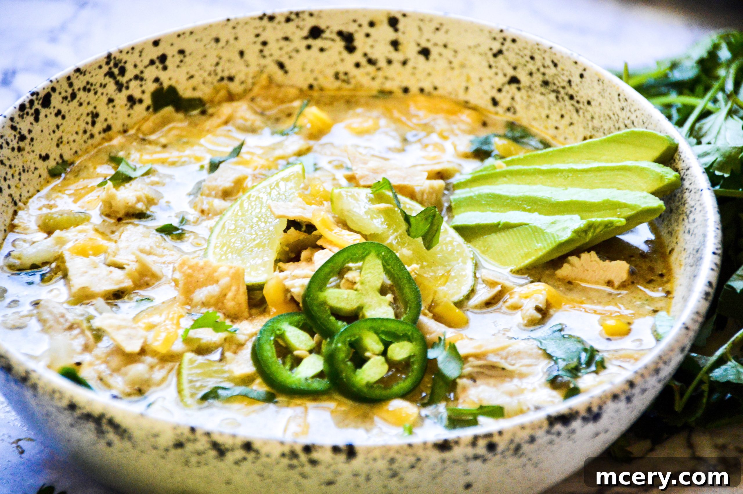 Easy Instant Pot White Bean Chicken Chili 4 img 3834 3 scaled