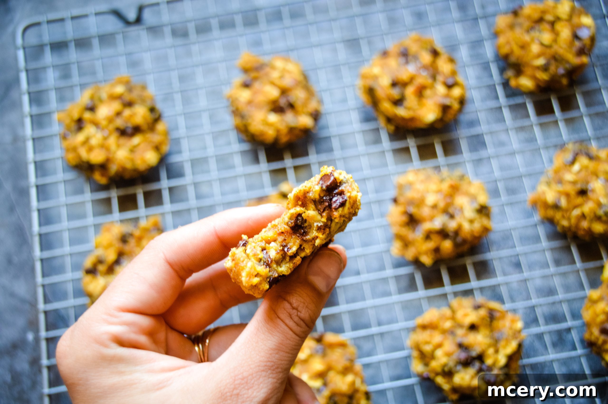 Wholesome Pumpkin Spice Breakfast Bites 3 A close-up of a stack of pumpkin breakfast cookies, highlighting their soft texture and chocolate chips.