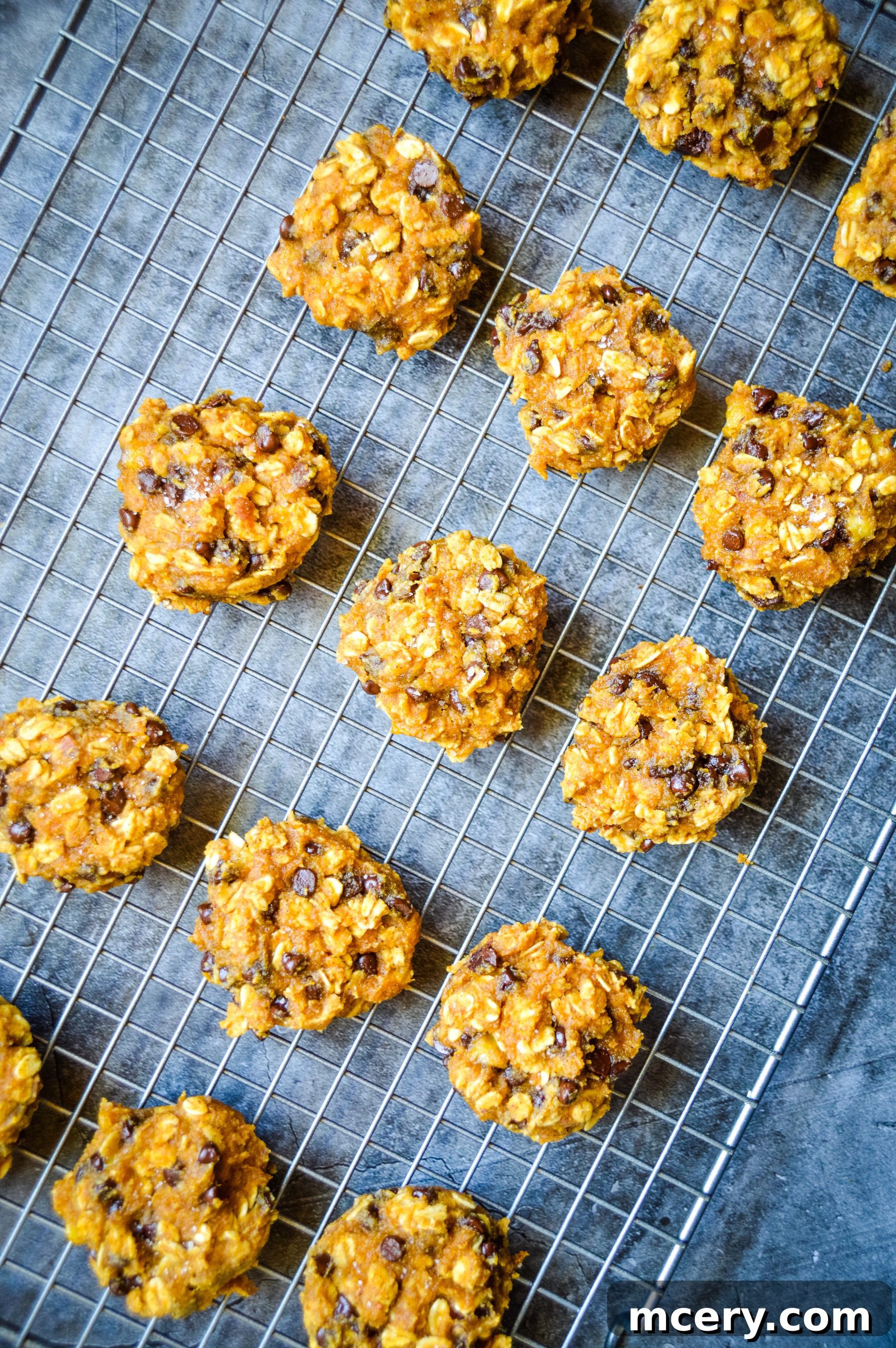 Wholesome Pumpkin Spice Breakfast Bites 4 Two pumpkin breakfast cookies, with one broken in half to show the soft interior and chocolate chips, on a white plate.