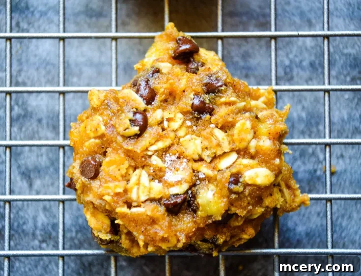 A close-up of a freshly baked Pumpkin Breakfast Cookie resting on a wire cooling rack. The cookie is golden brown with visible oats and chocolate chips, against a dark background.